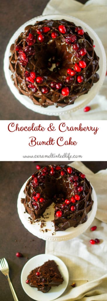 Chocolate and cranberry cake