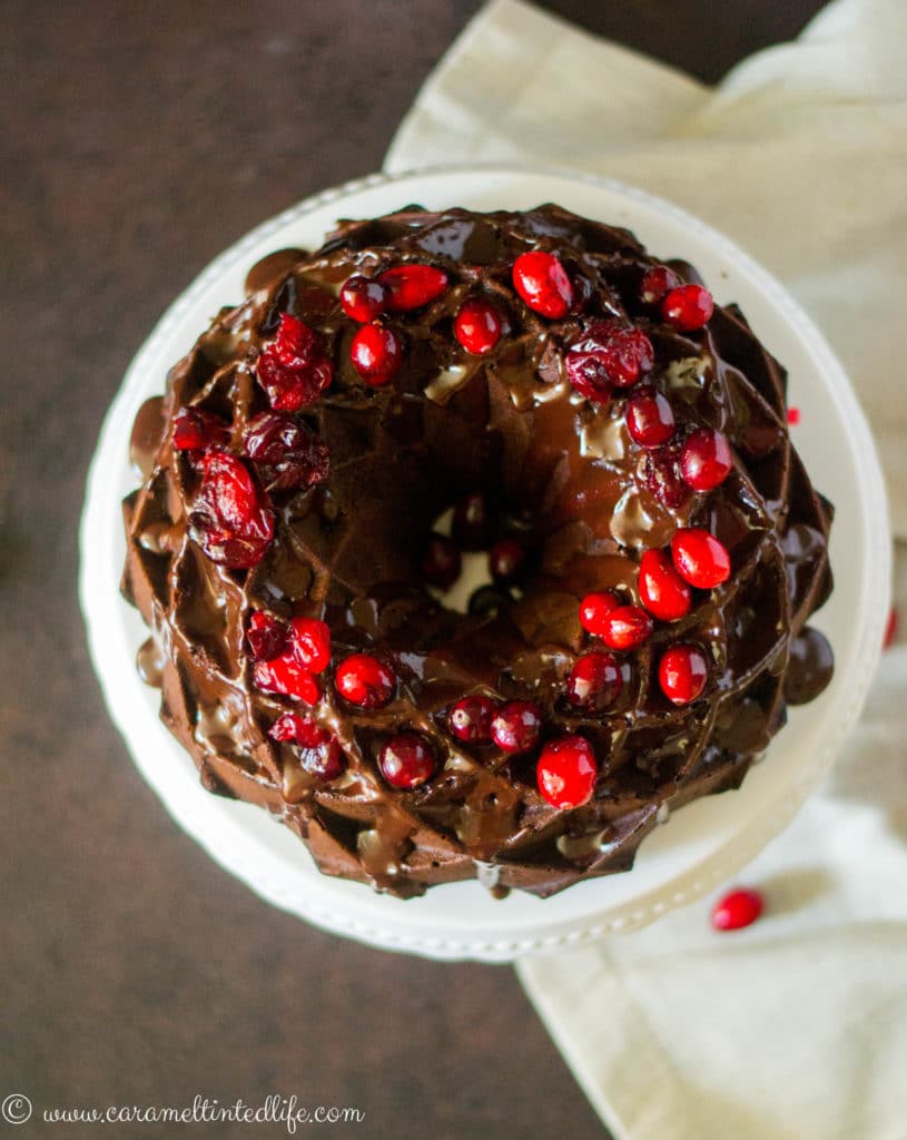 Chocolate Cranberry Bundt Cake