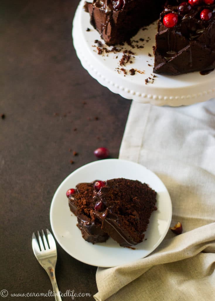 Chocolate Cranberry Bundt Cake