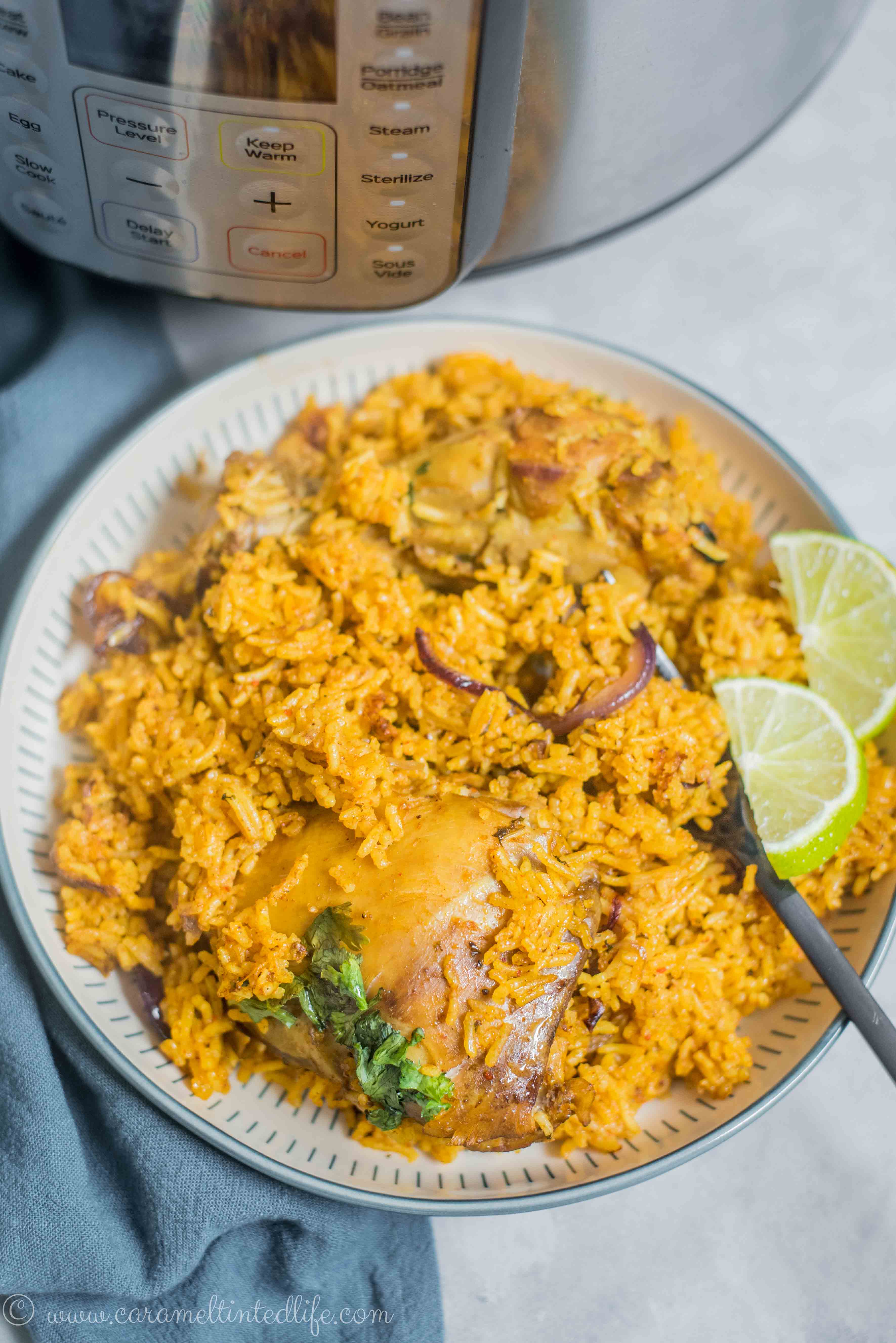 Instant Pot Chicken Biryani-4 | Caramel Tinted Life