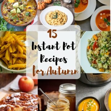 Instant Pot Recipes for Autumn Round-Up