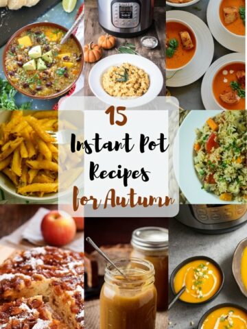 Instant Pot Recipes for Autumn Round-Up