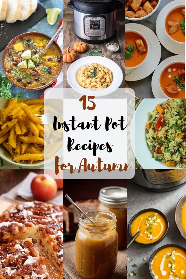 Fall discount instapot recipes