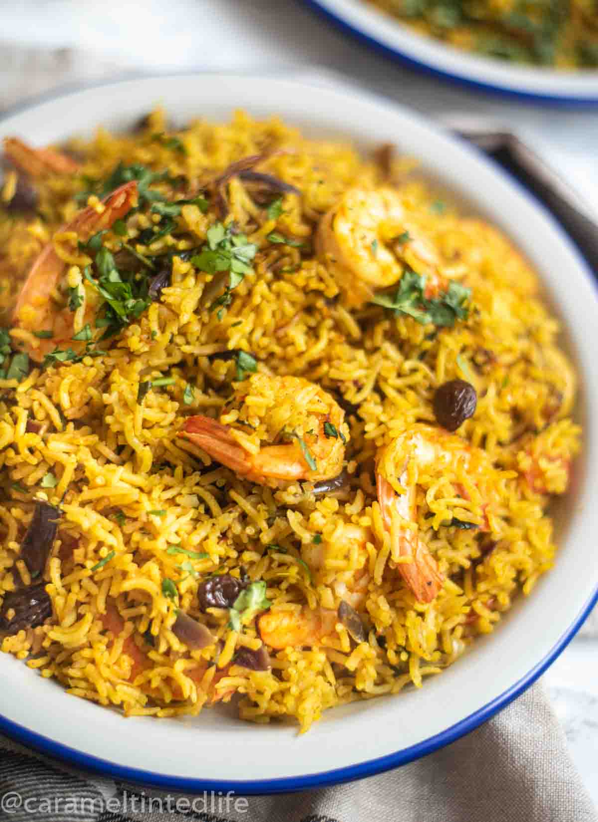 Instant Pot Shrimp Biryani 