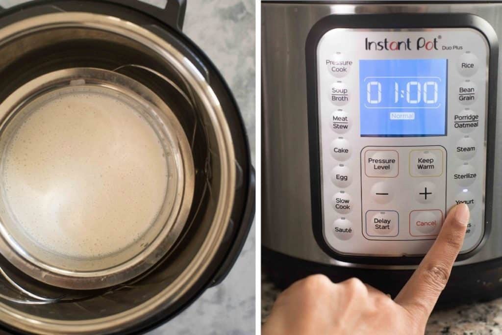 Fermenting appam batter in the Instant Pot on the 'yogurt' setting