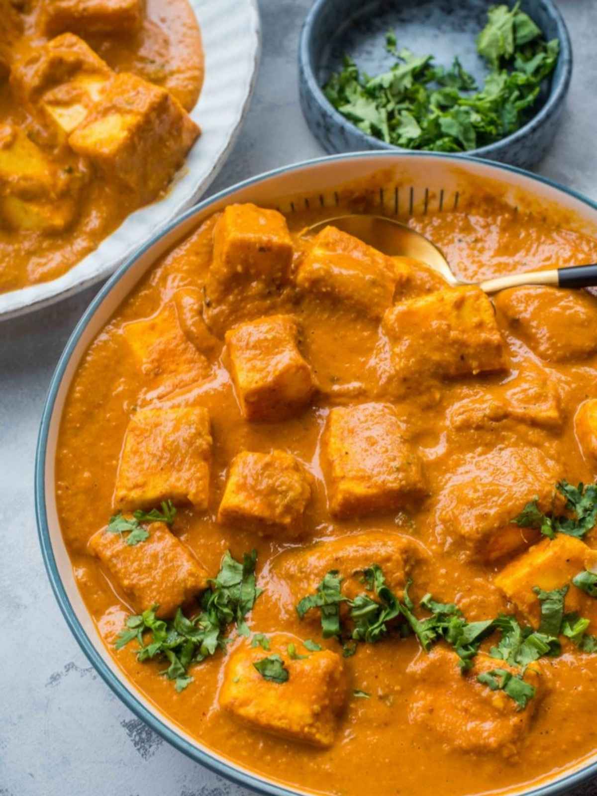 Close-up of Paneer tikka in a bowl