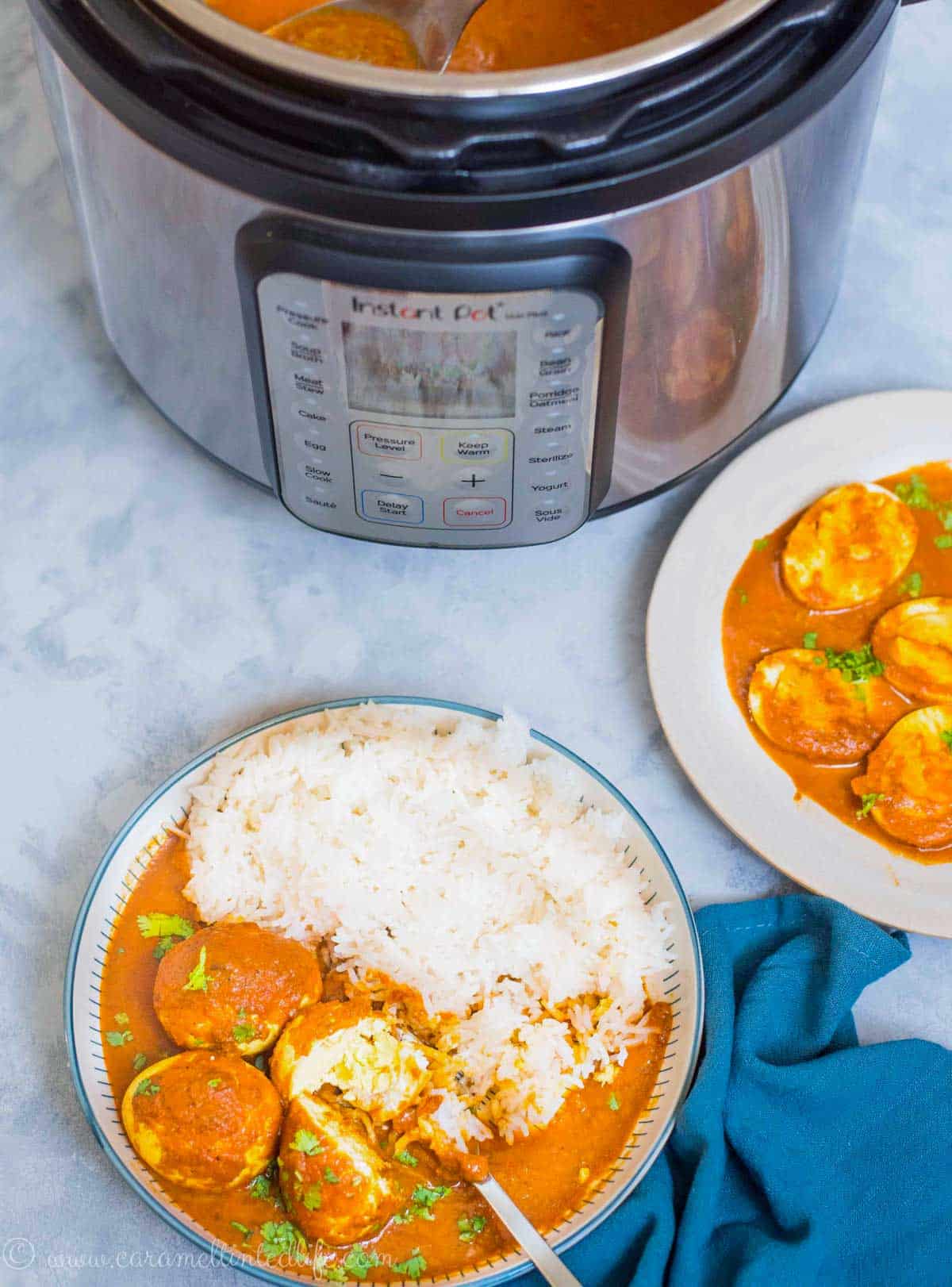 Instant Pot next to a plate of egg curry and rice