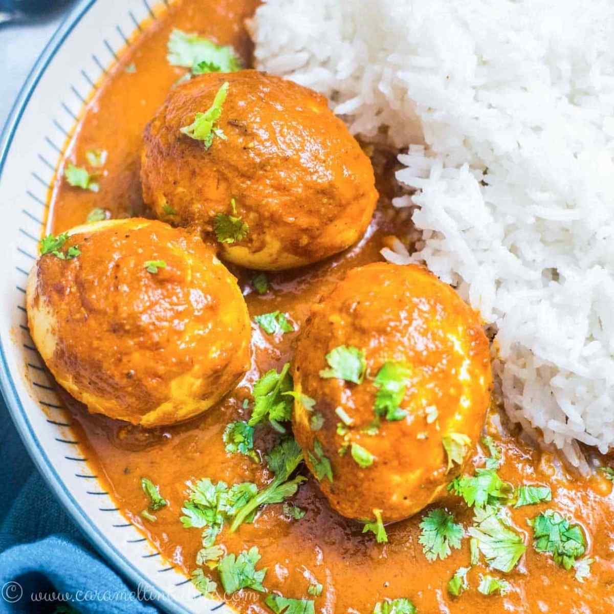 Close-up of egg curry and rice on a bowl with fresh coriander leaf garnish 