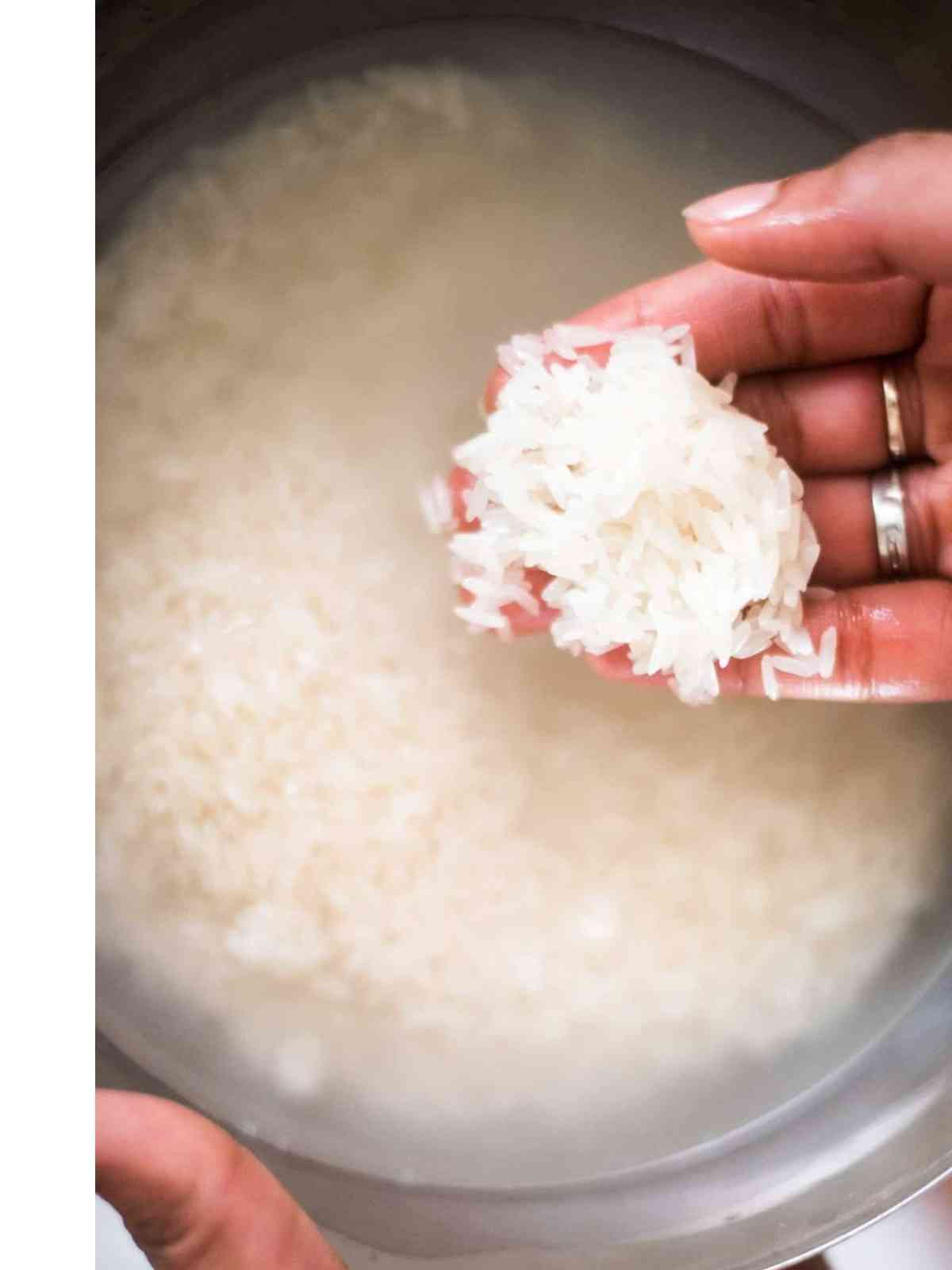 Washed raw Jasmine rice grains