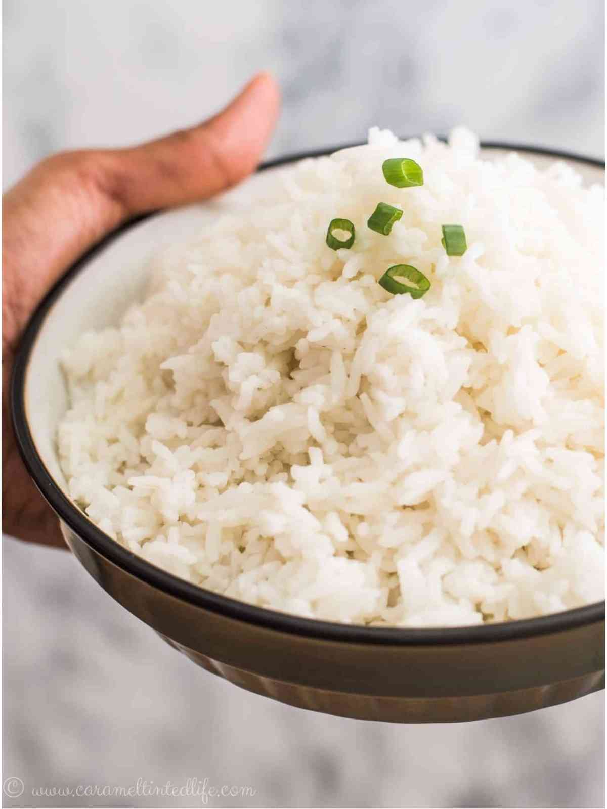 Close up view of jasmine rice on a plate