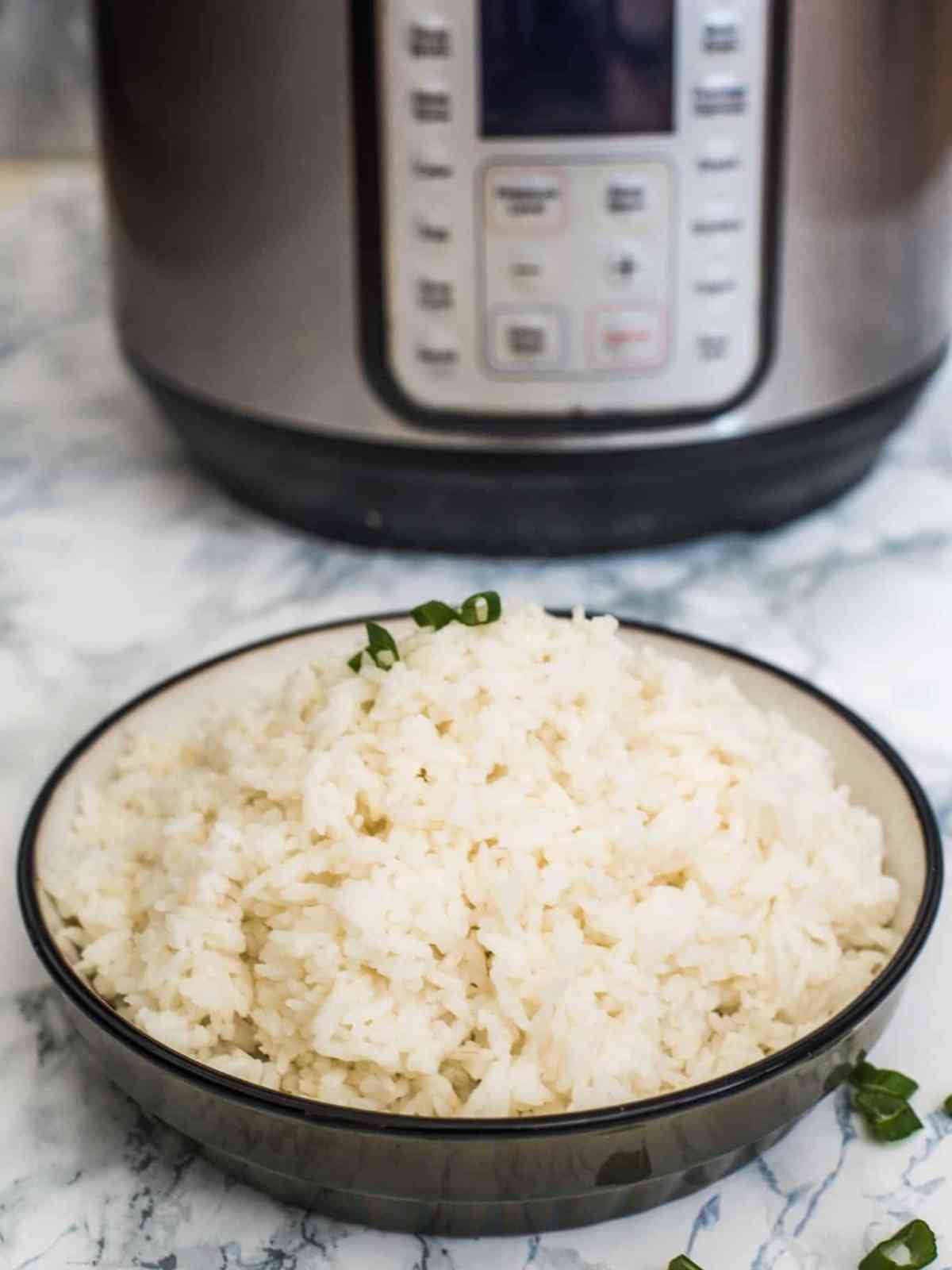 Cooked Jasmine rice on a plate near the Instant Pot