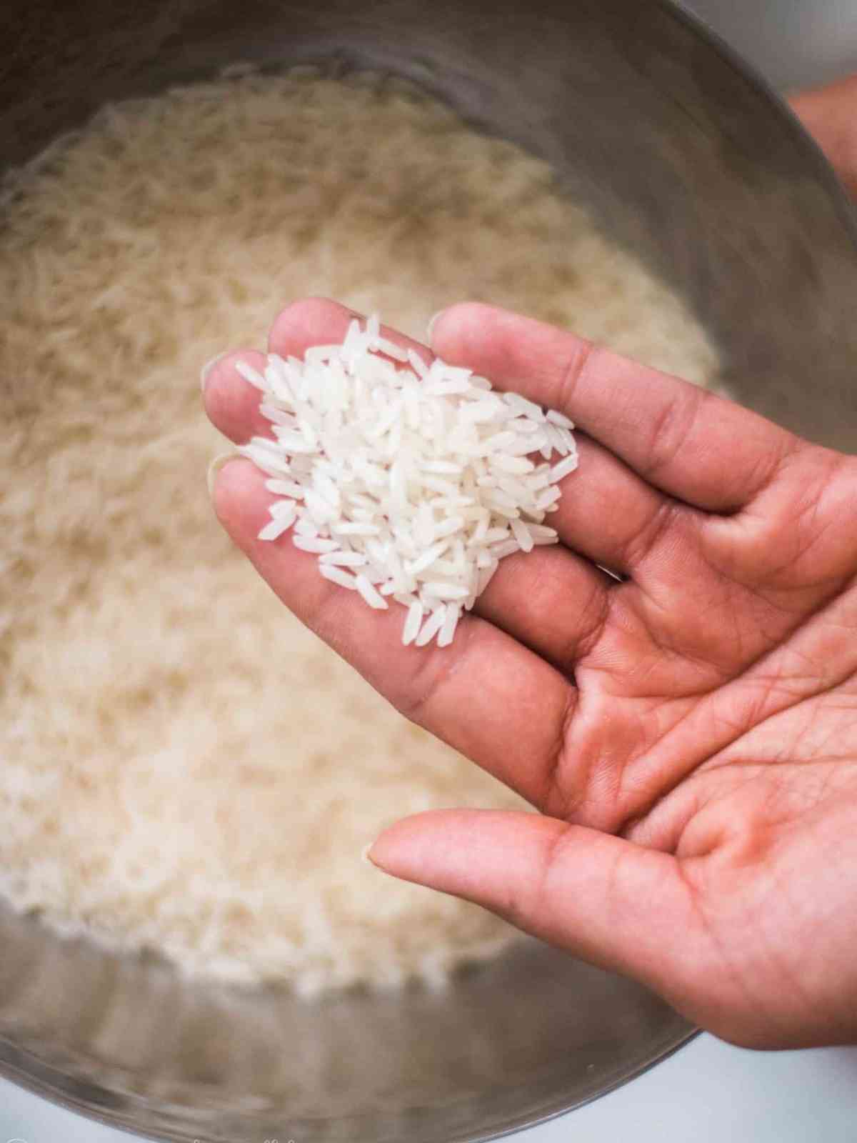 Raw Jasmine rice grains held in the hand