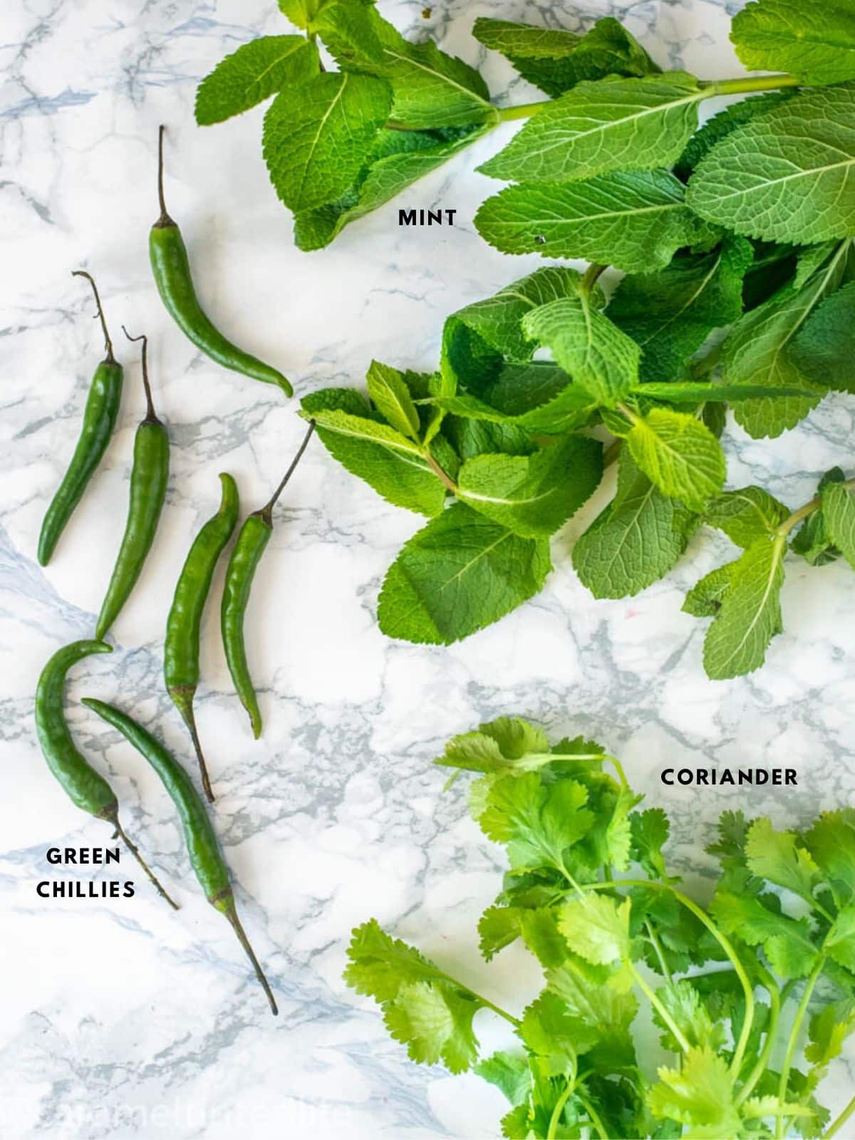 Fresh herbs in Indian cooking - Mint, coriander and green chilies