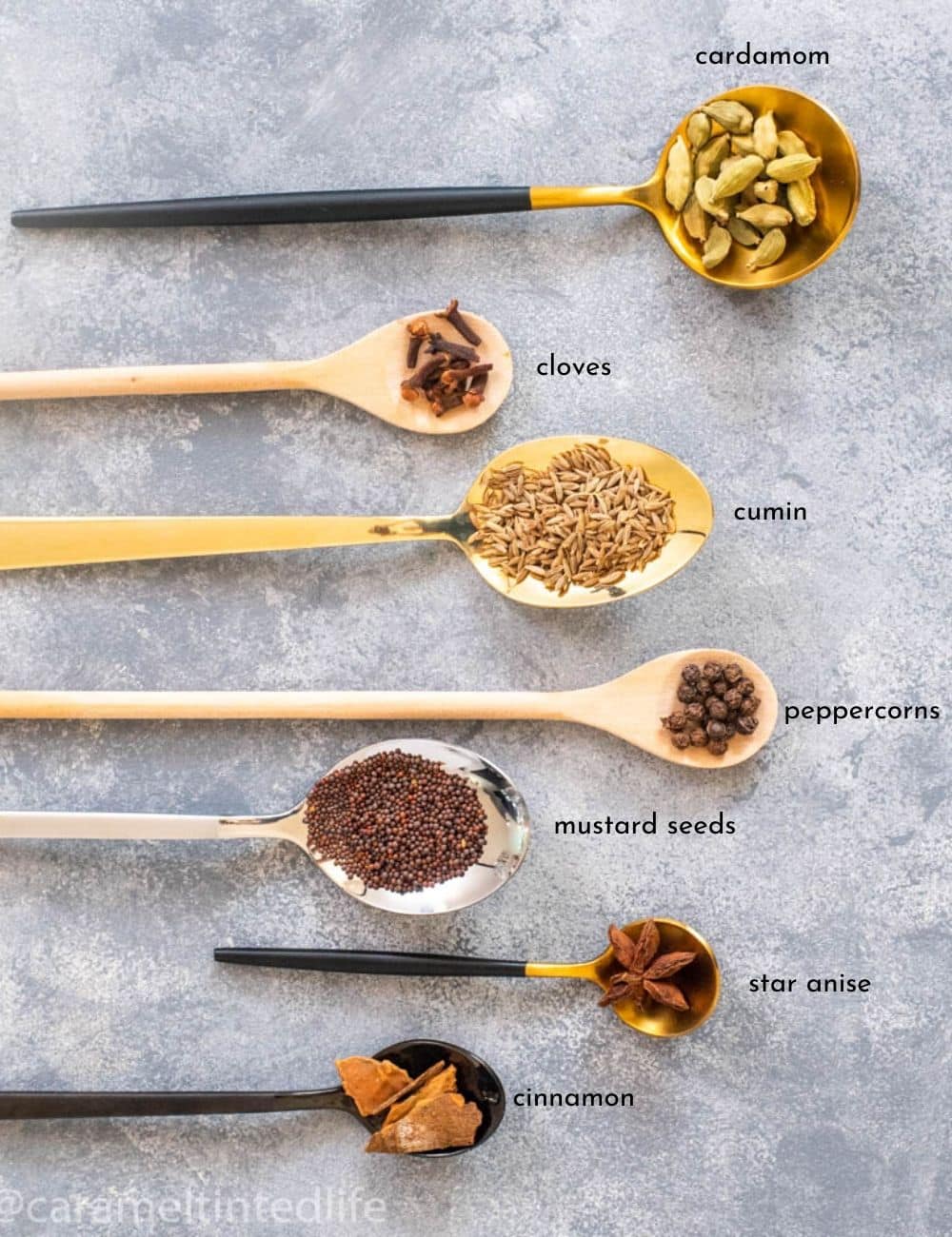 Wholes spices used in Indian Cooking displayed on spoons