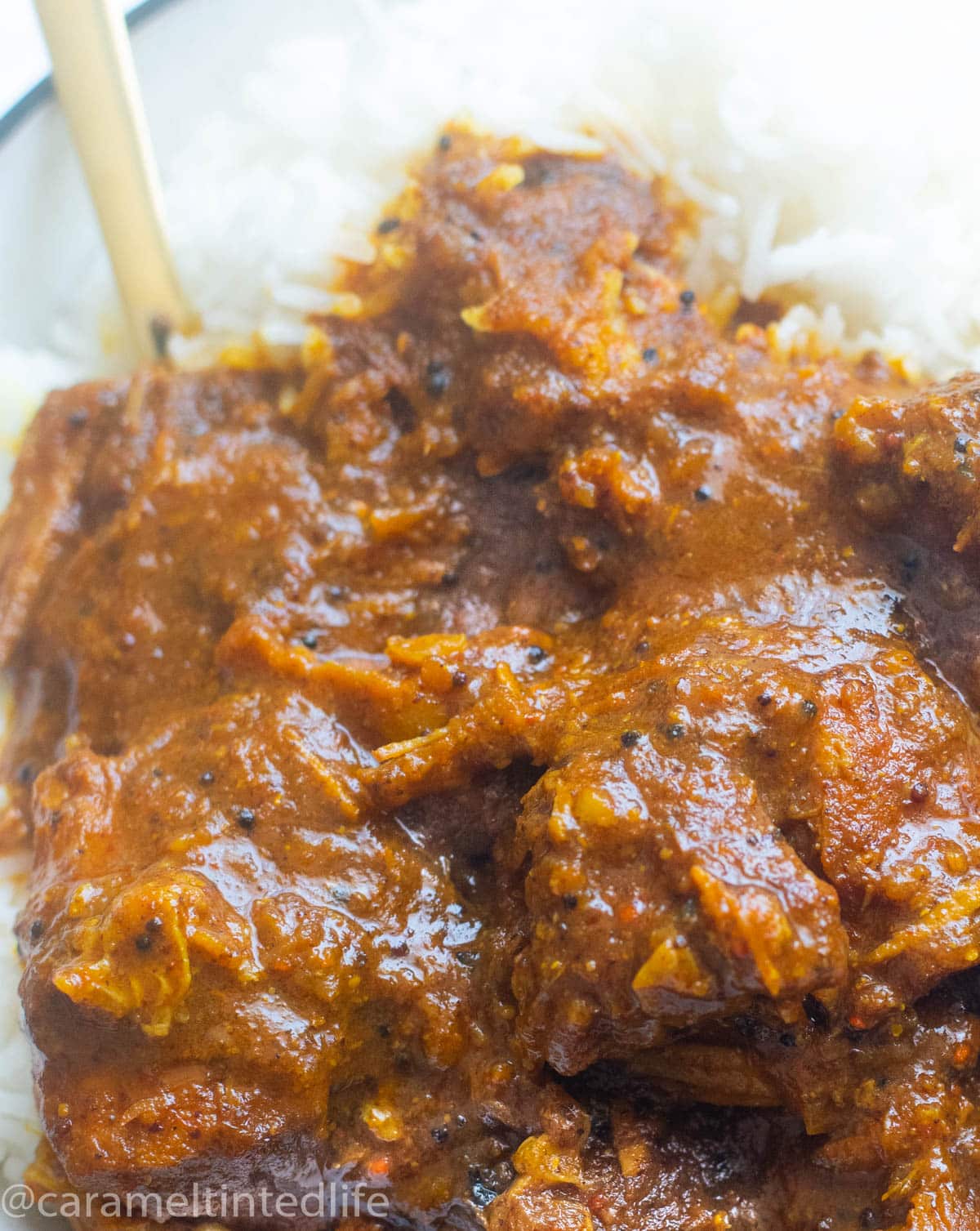 CLose-up of pork vindaloo