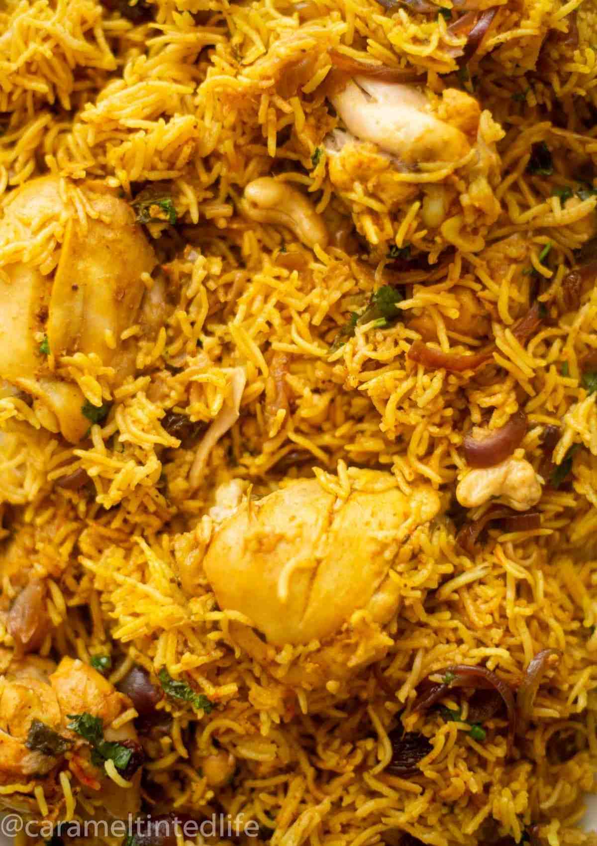 Close-up of chicken biryani