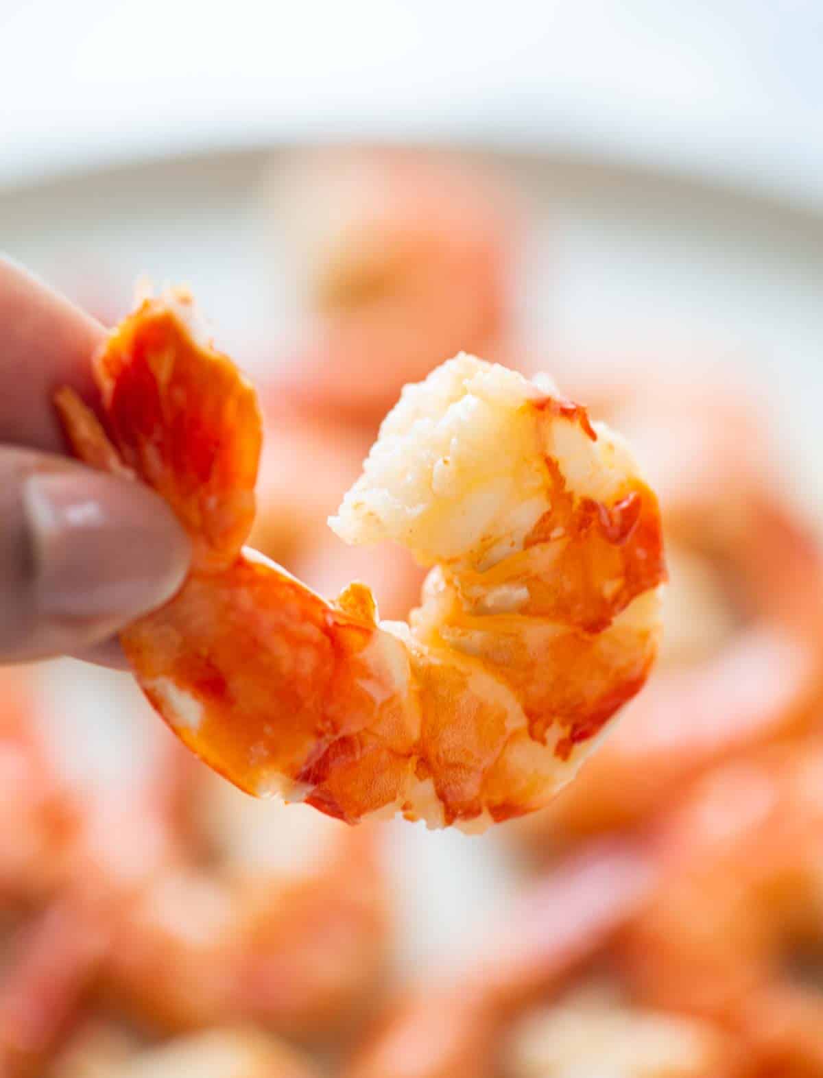 fingers holding a single cooked shrimp with tail-on