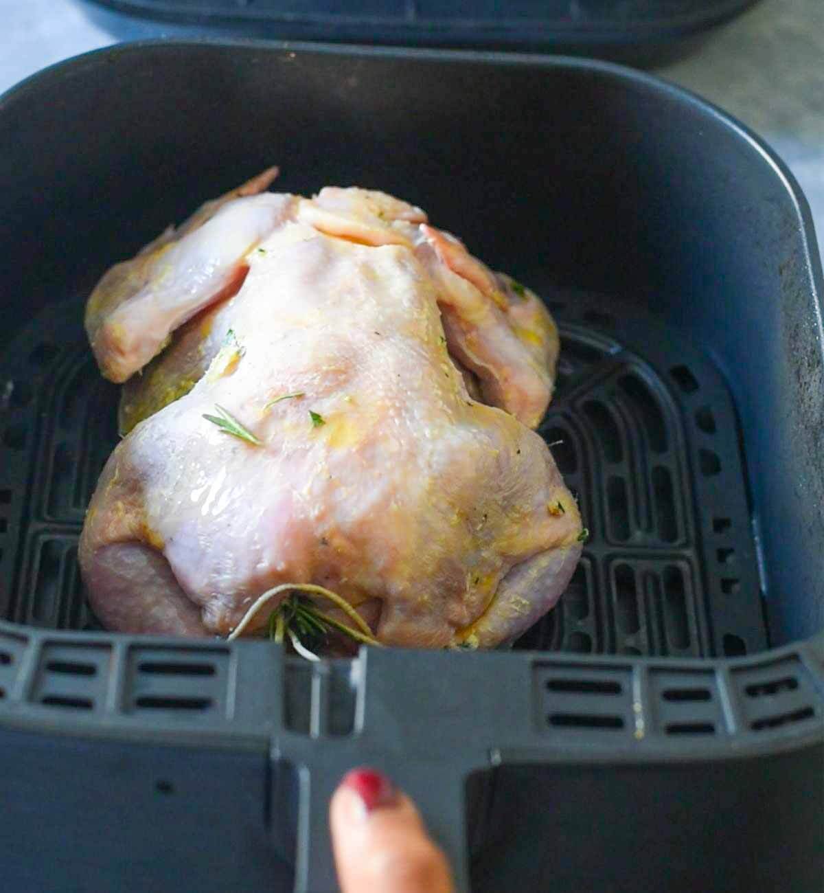 raw whole chicken in air fryer basket