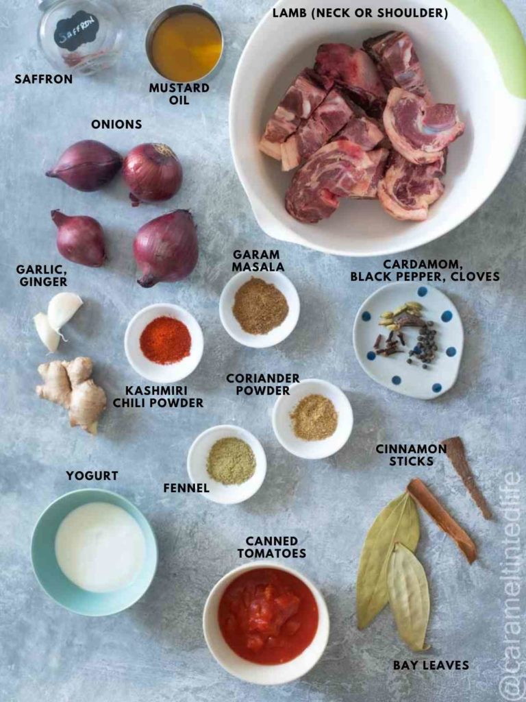 ingredients for making lamb rogan josh